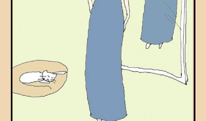 人在江湖漂怎能不带猫 第1集