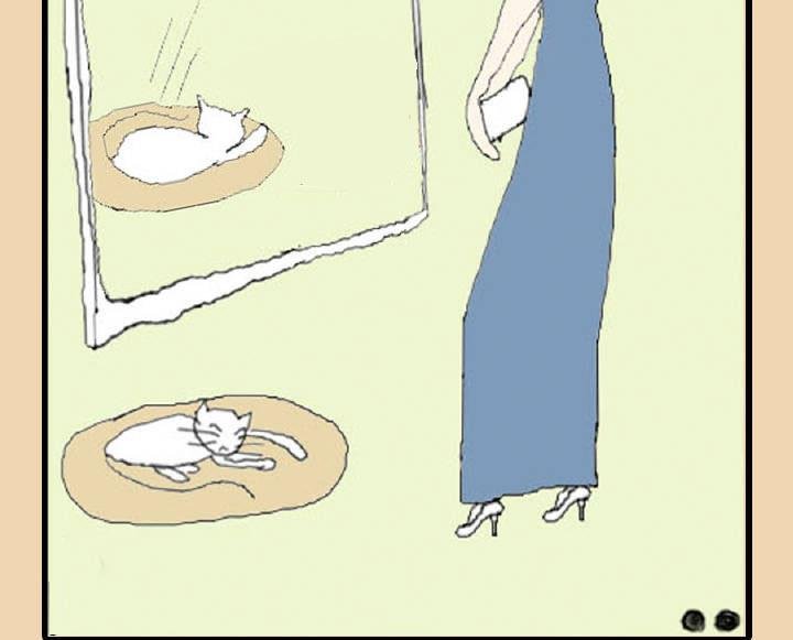 人在江湖漂怎能不带猫 第1集