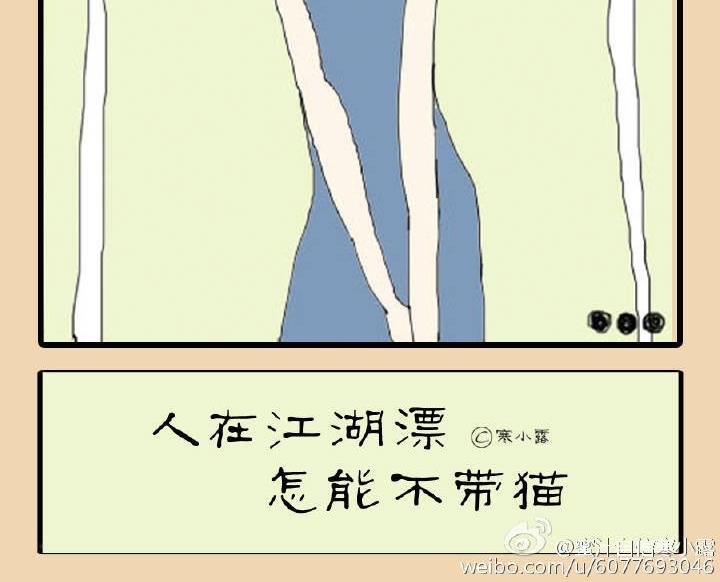 人在江湖漂怎能不带猫 第1集