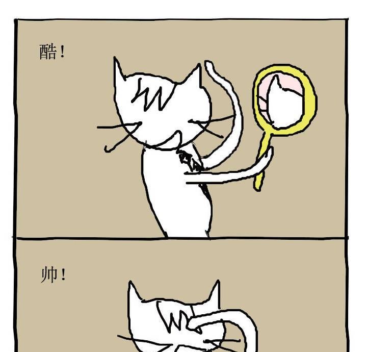 人在江湖漂怎能不带猫 第1集