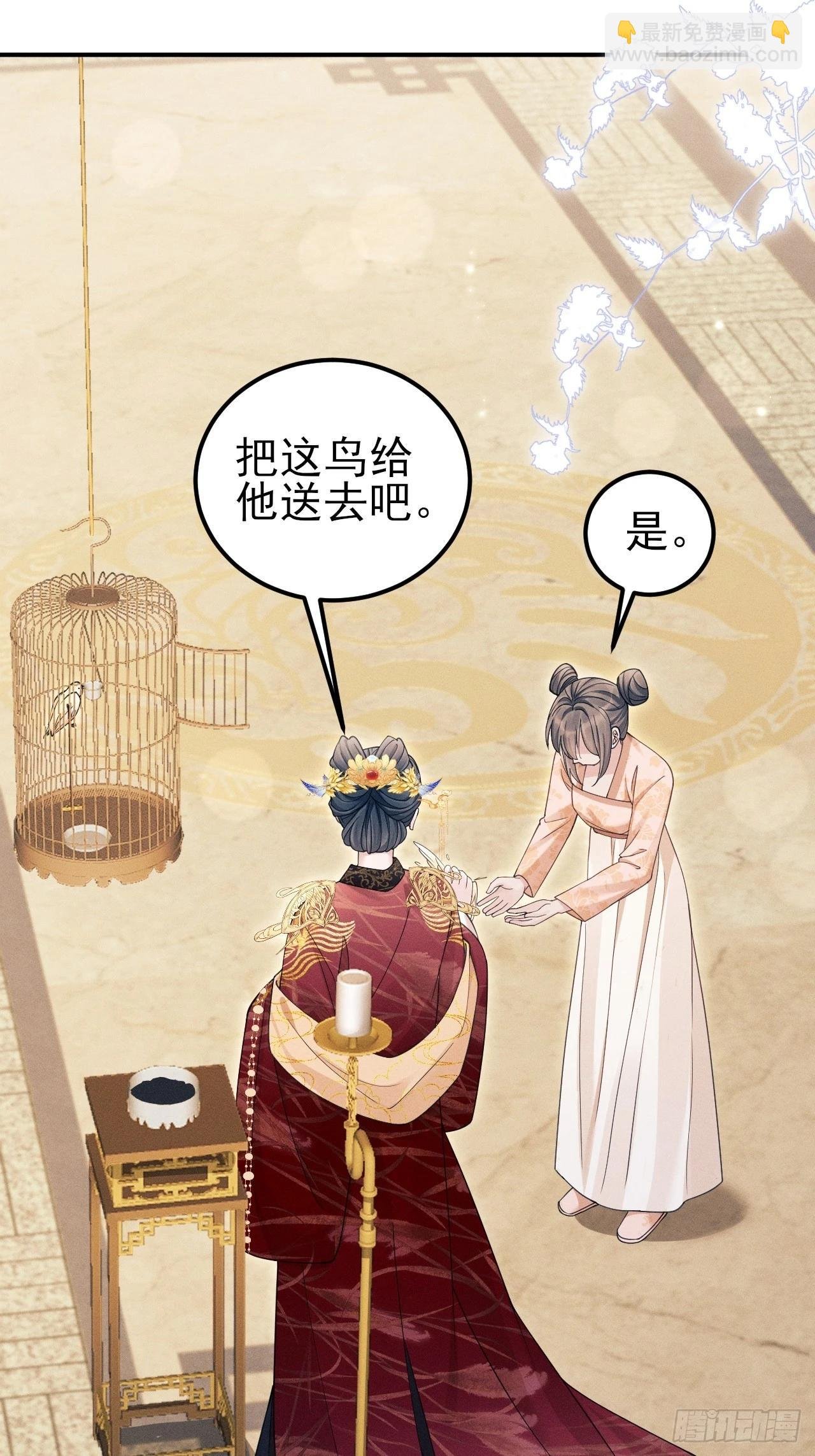 167.赠鸟