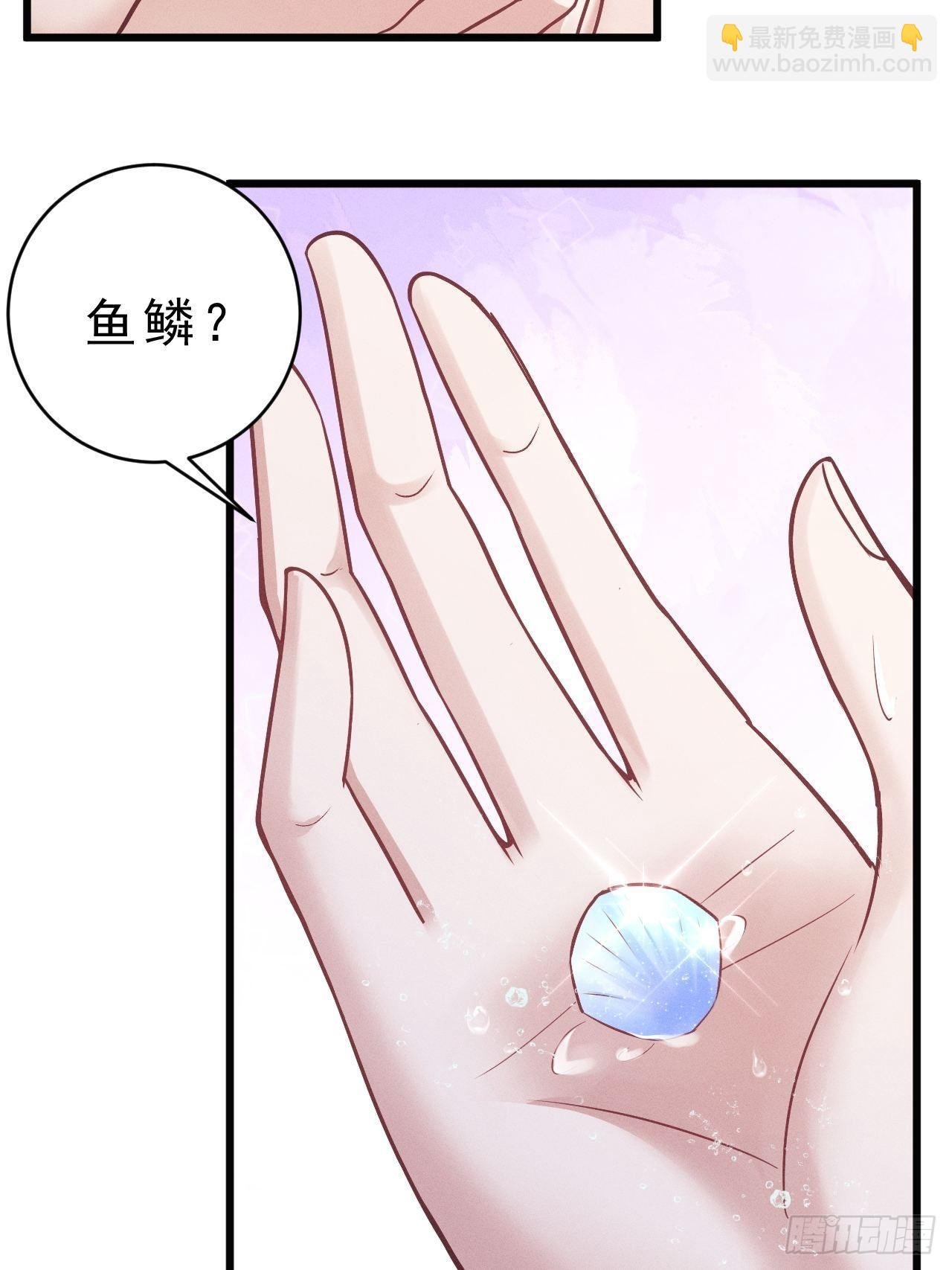 21.鱼鳞
