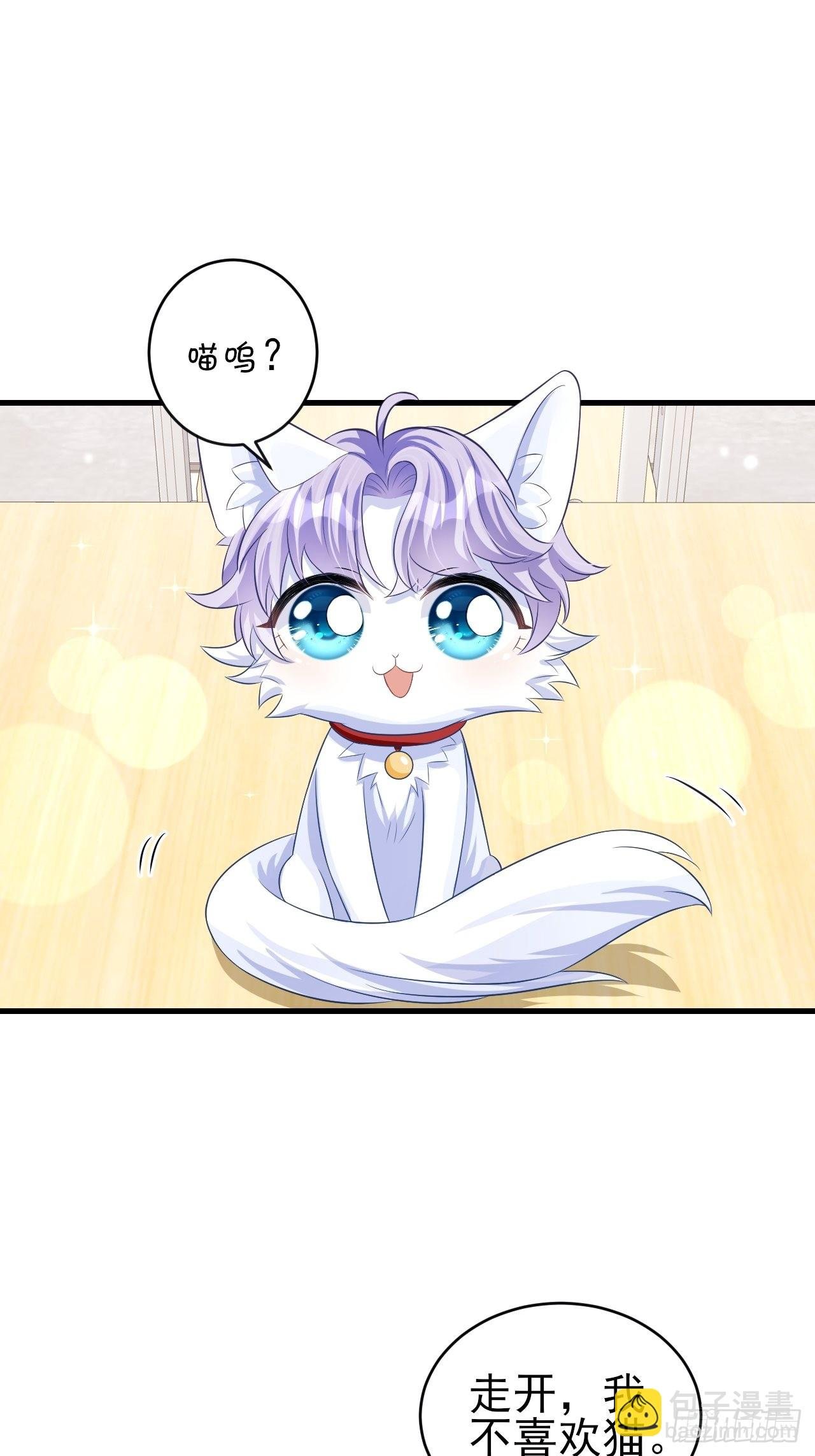 随机掉落的番外-猫咪