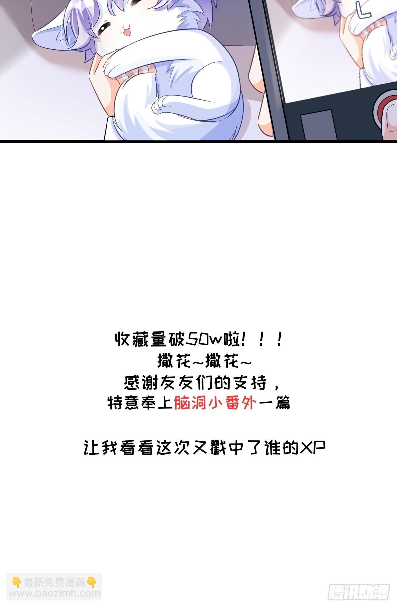 随机掉落的番外-猫咪