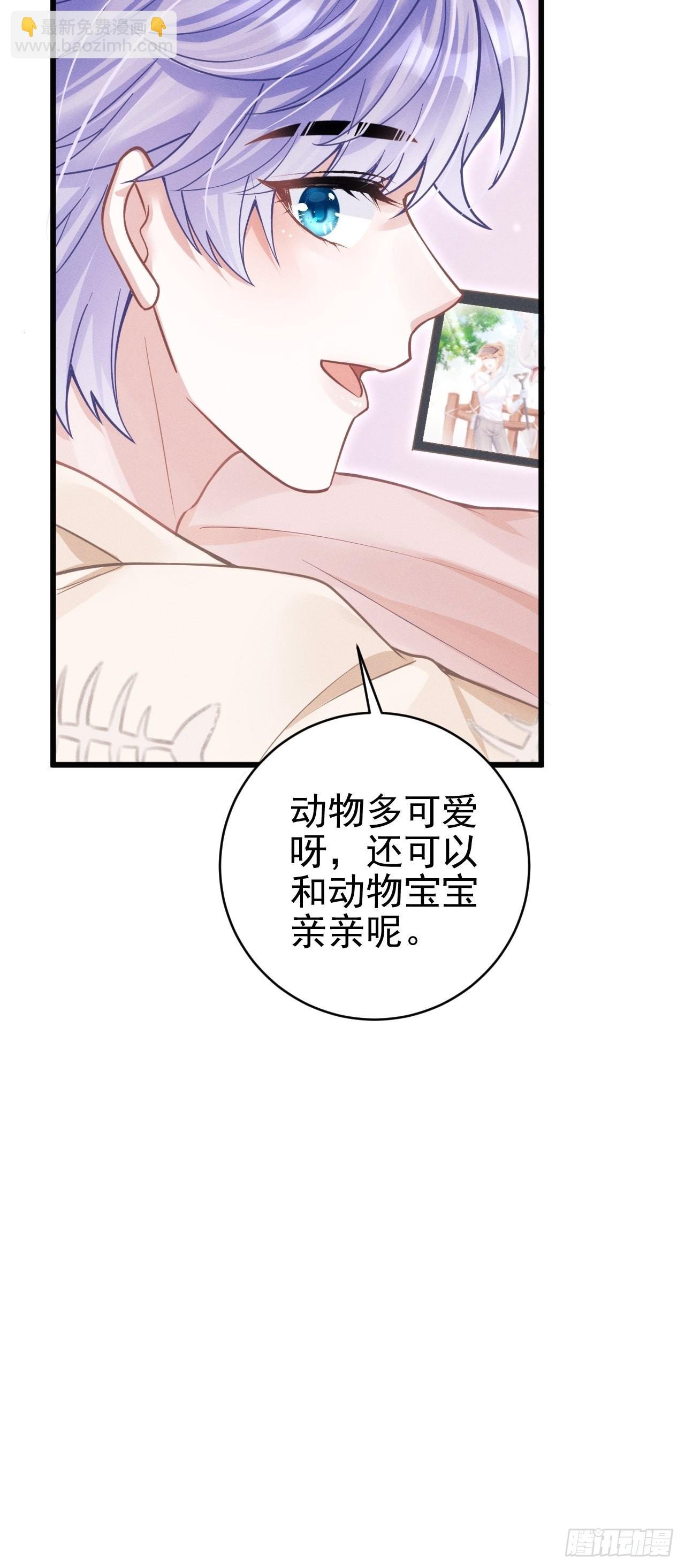 57.和“动物”的练习~