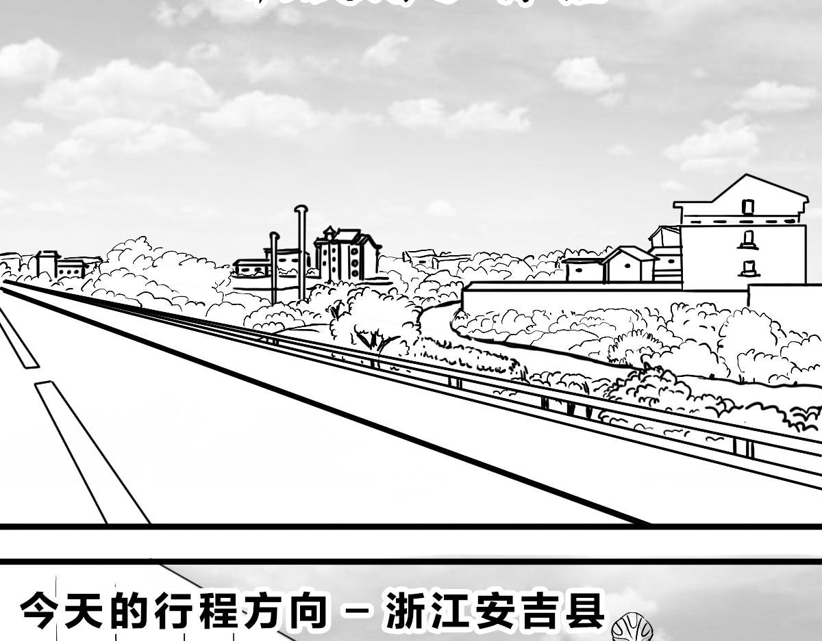 不可预的路