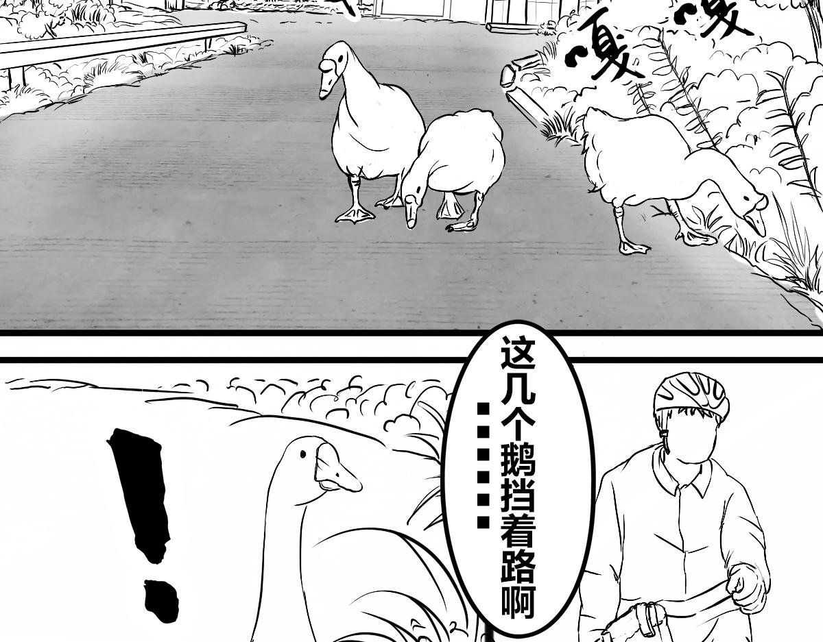 不可预的路