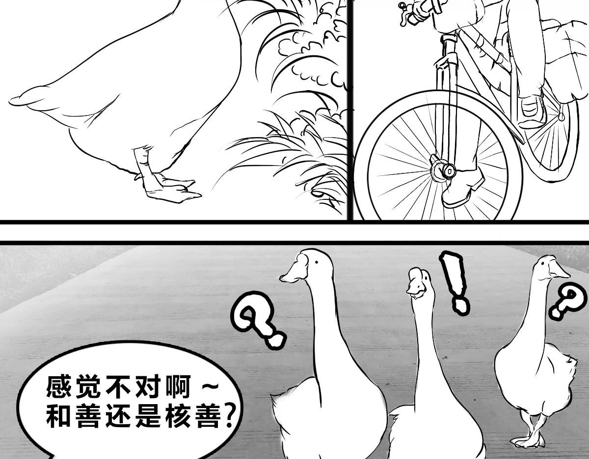不可预的路