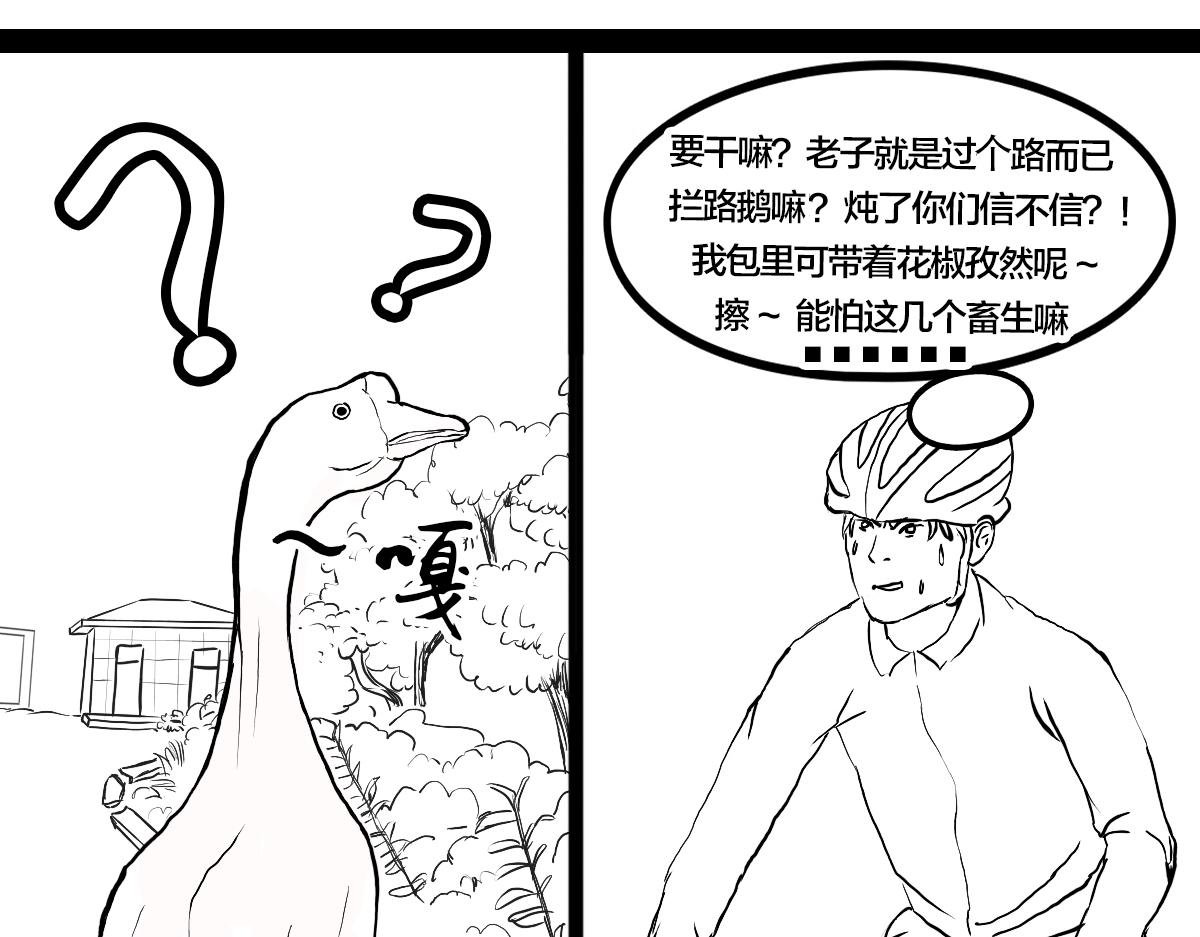 不可预的路