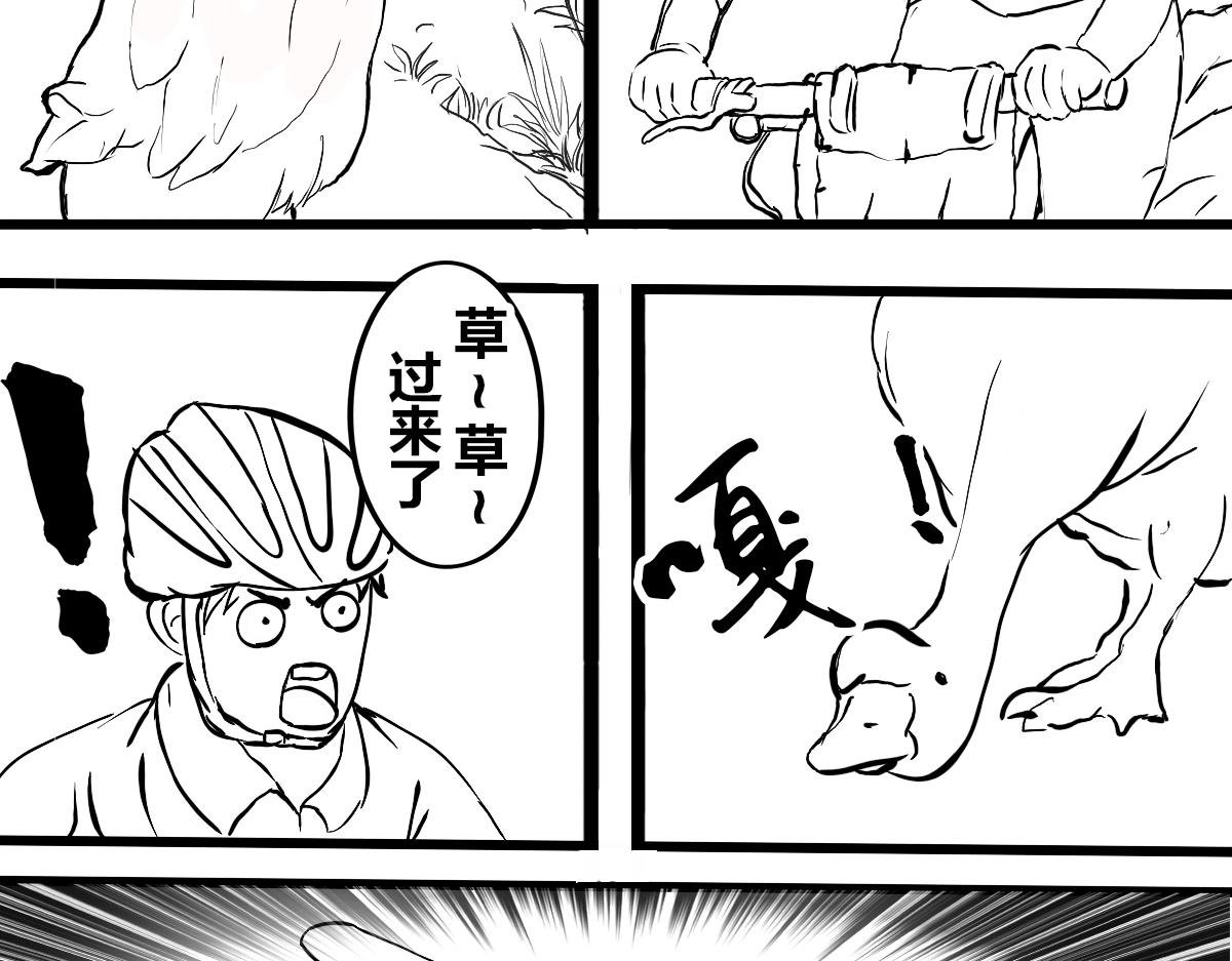 不可预的路