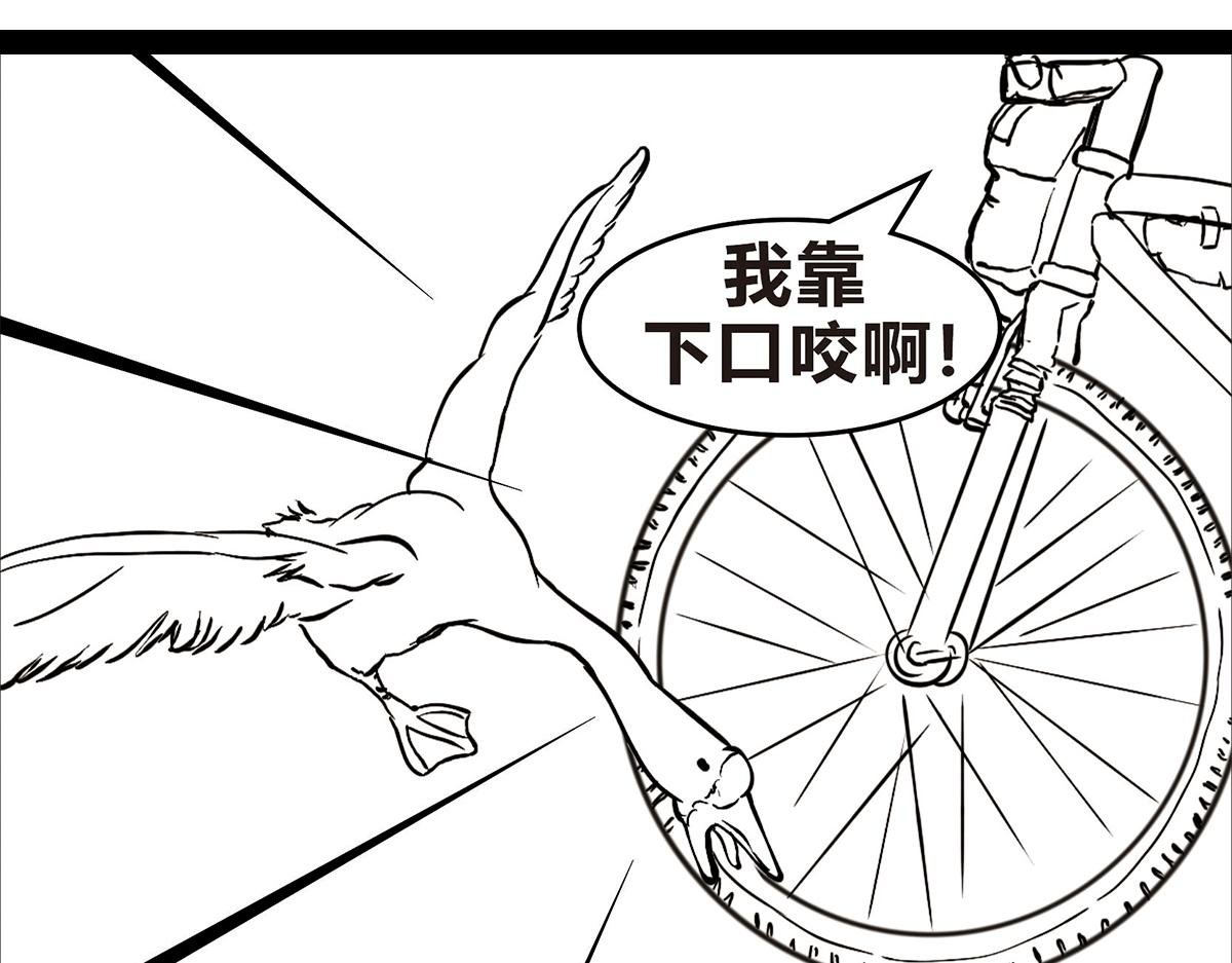 不可预的路