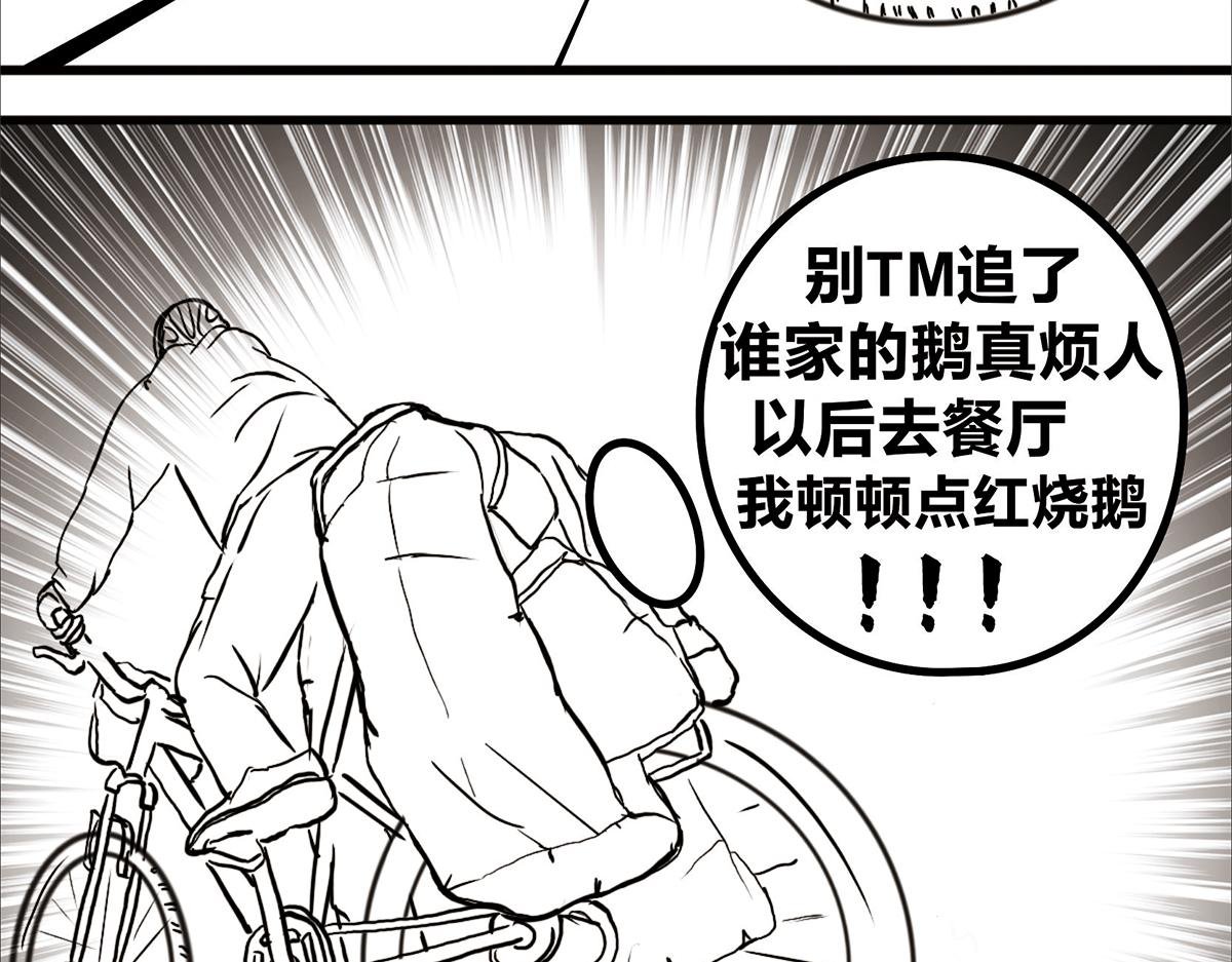 不可预的路