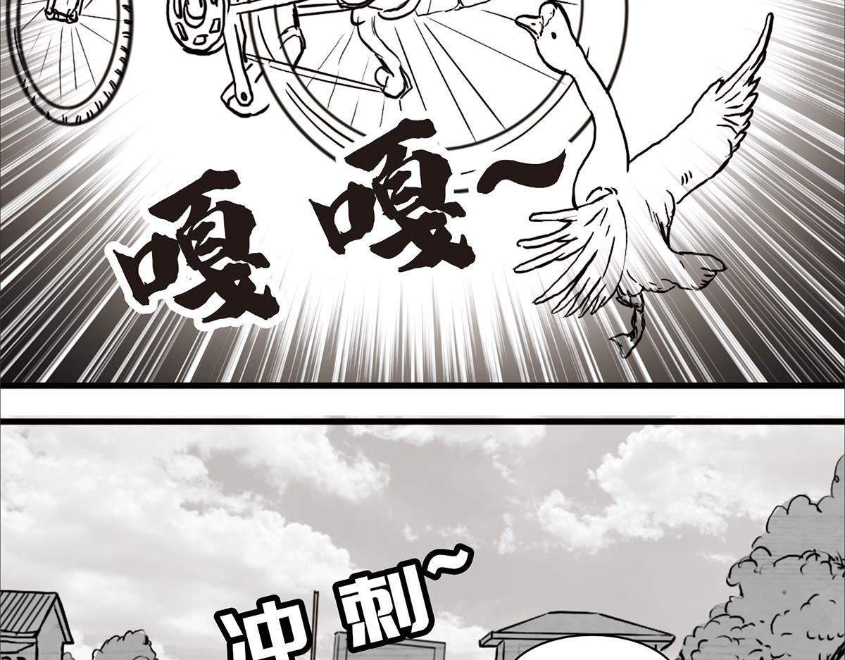 不可预的路