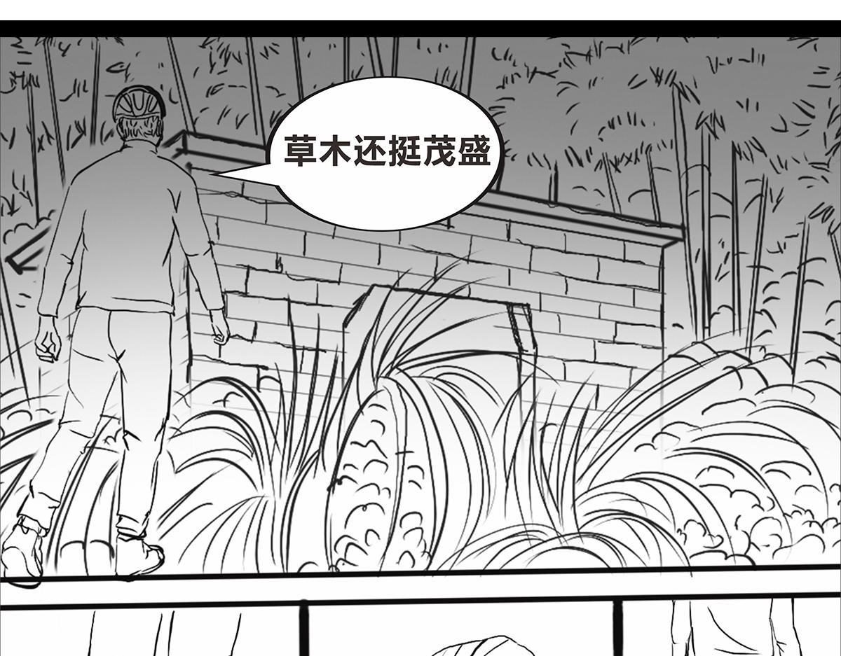 不可预的路