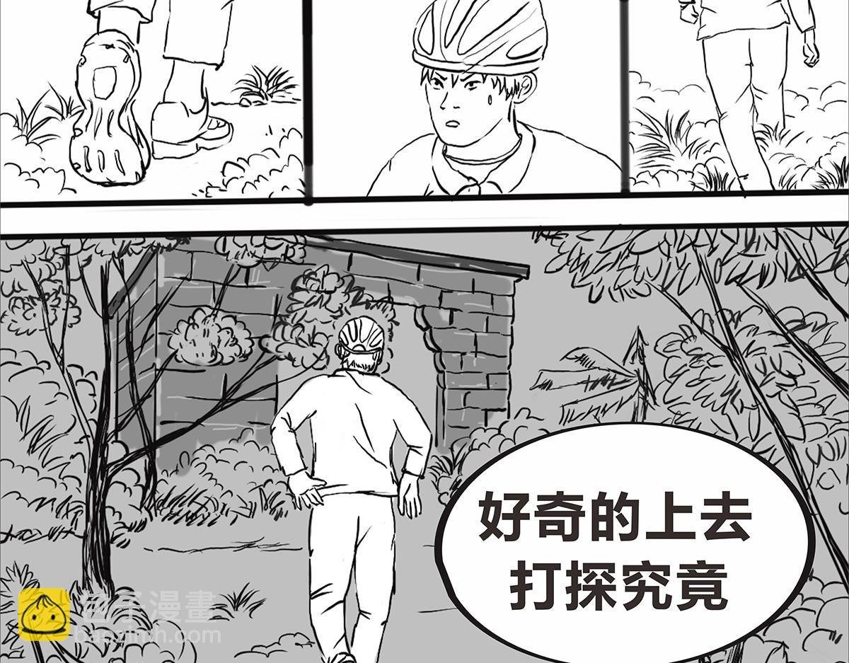 不可预的路