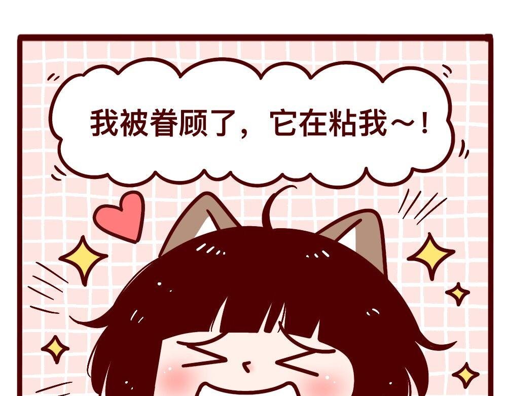 天大的误会