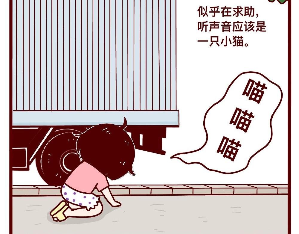 猫的性格随主人