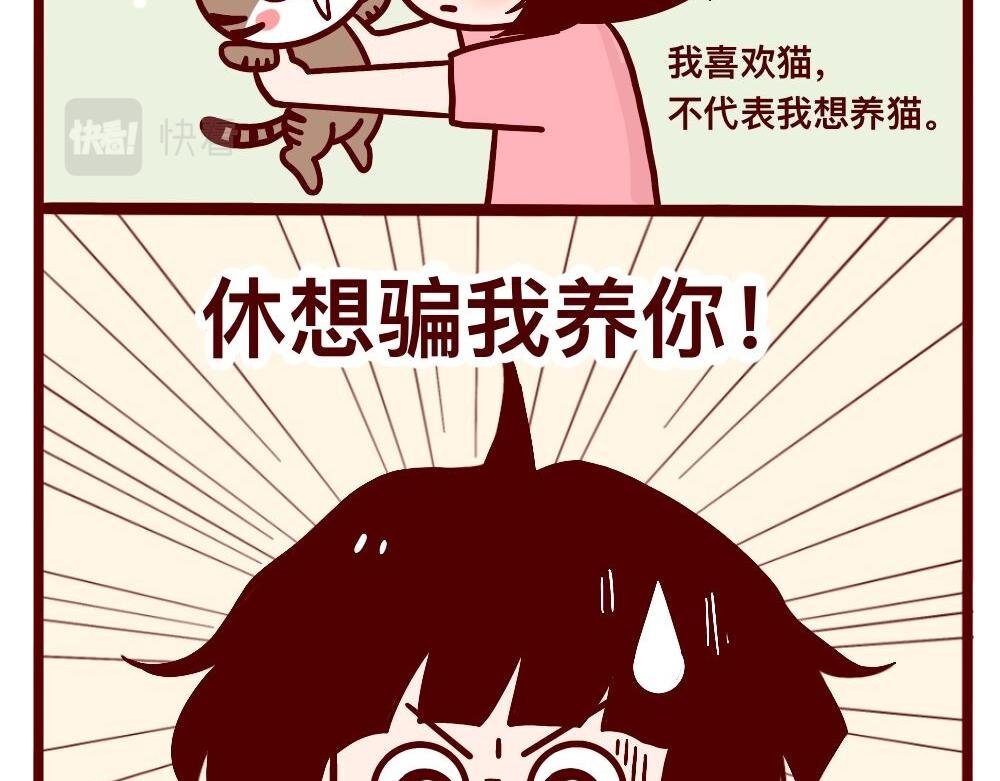 猫的性格随主人