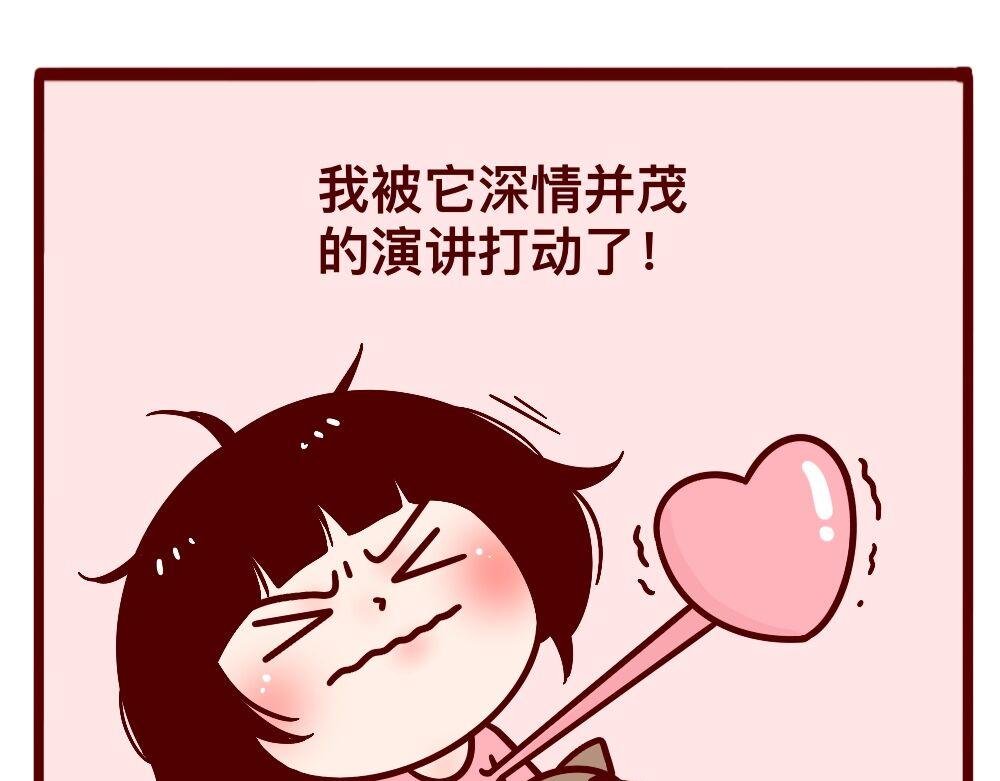 猫的性格随主人