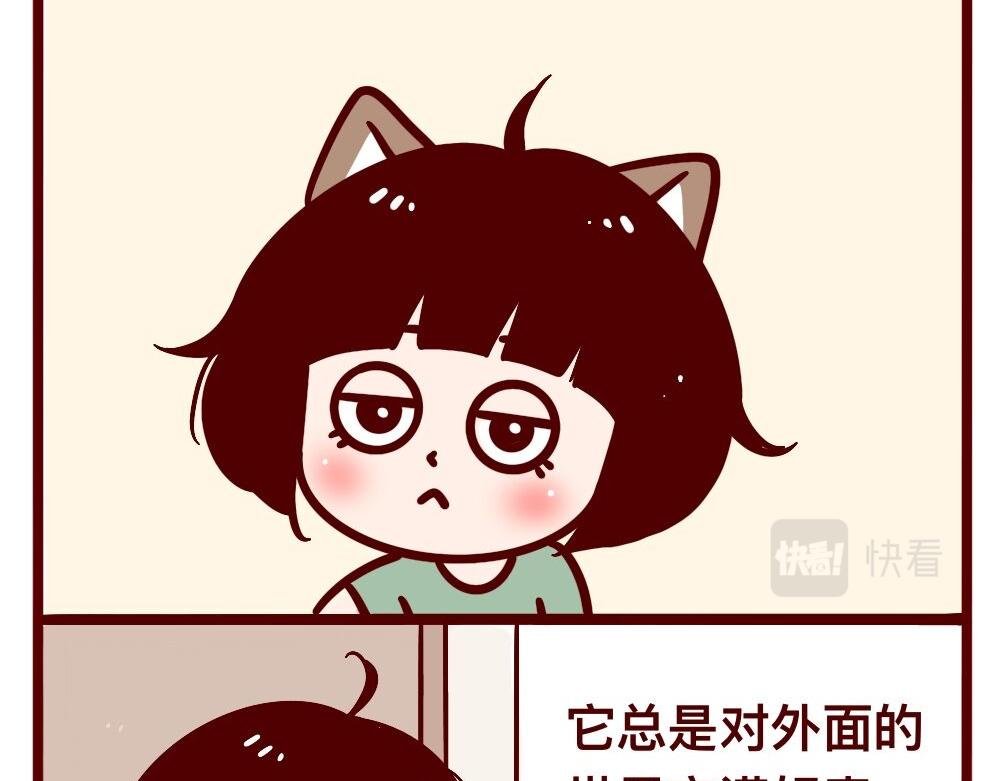 猫的性格随主人
