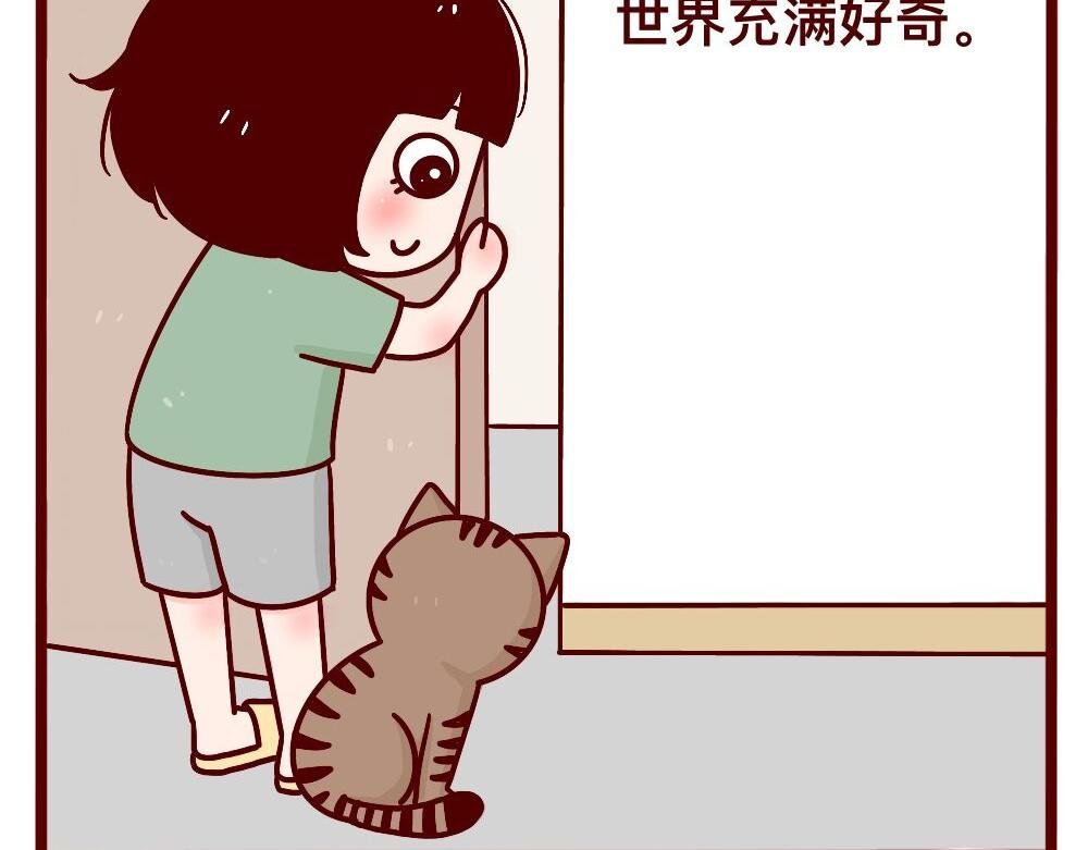 猫的性格随主人