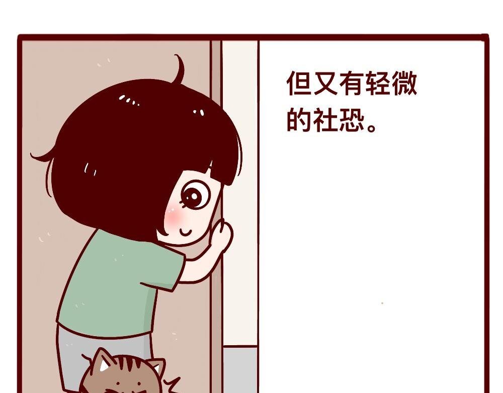猫的性格随主人