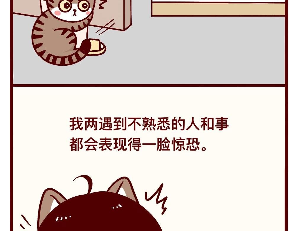 猫的性格随主人