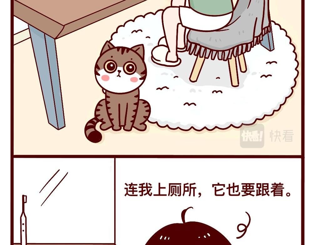 猫的性格随主人