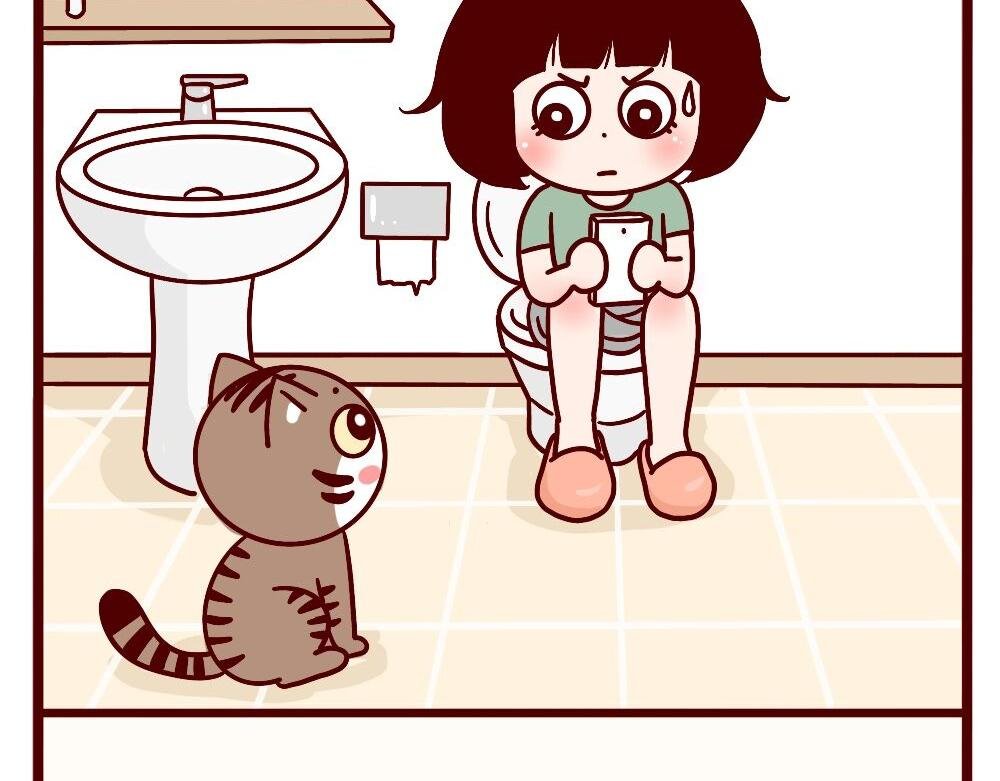 猫的性格随主人