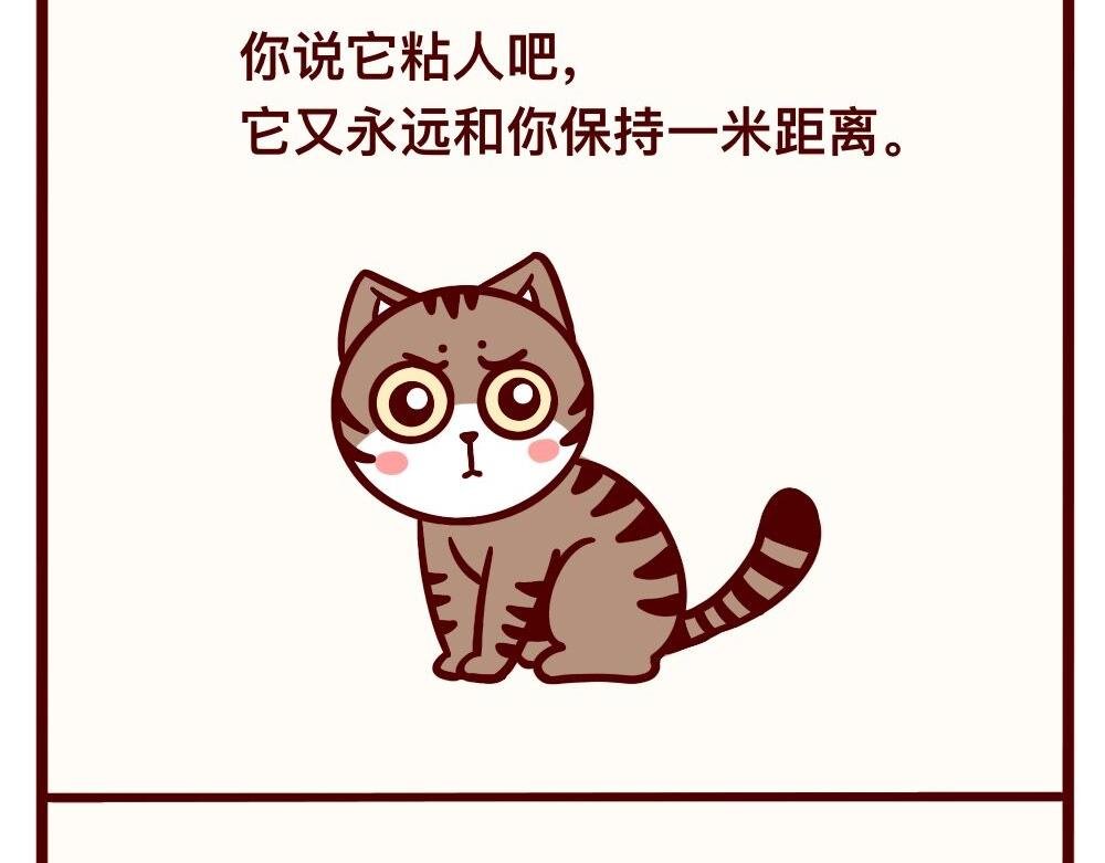 猫的性格随主人