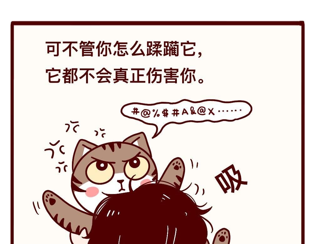 猫的性格随主人