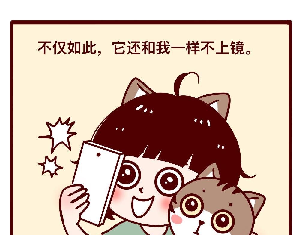 猫的性格随主人