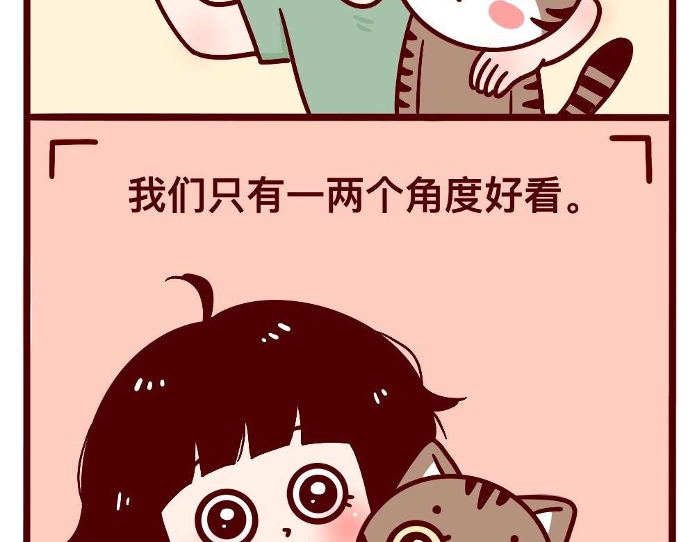 猫的性格随主人