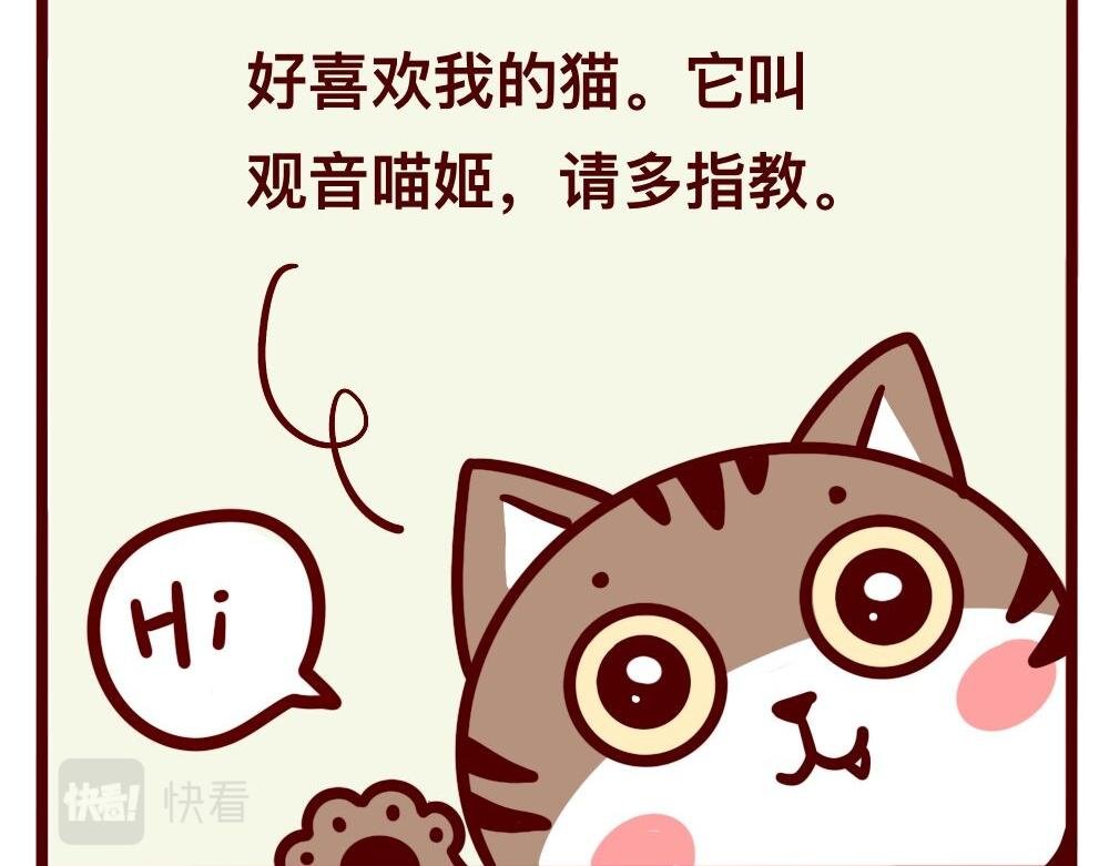 猫的性格随主人