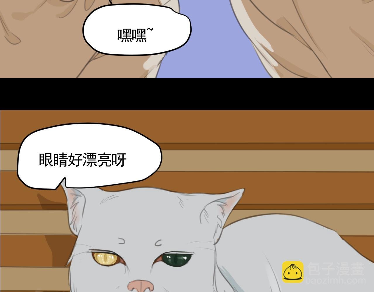 白猫 （上）