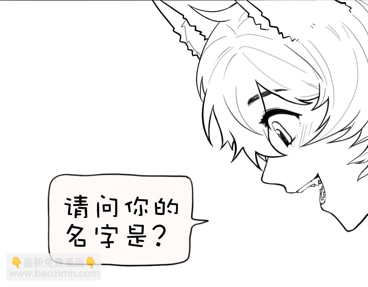 迫于不断有人关注的压力而更新