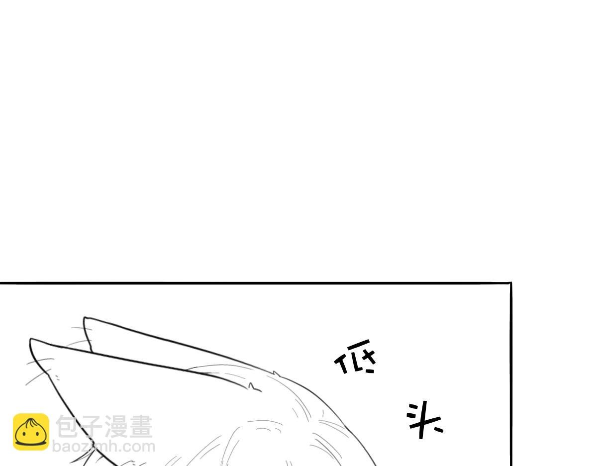 迫于不断有人关注的压力而更新