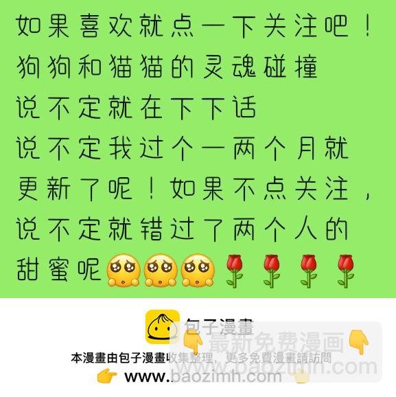 迫于不断有人关注的压力而更新