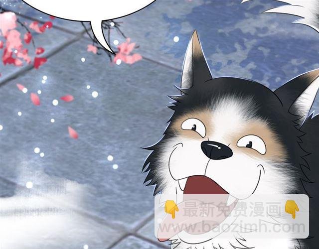 第108话 欧夜辰回来了？！