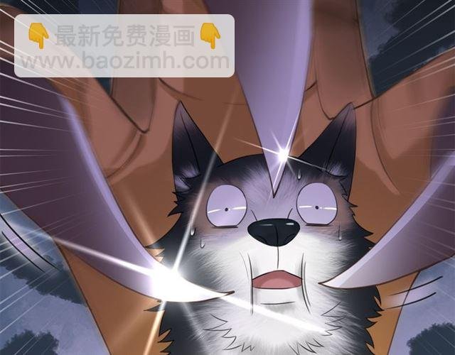 第108话 欧夜辰回来了？！