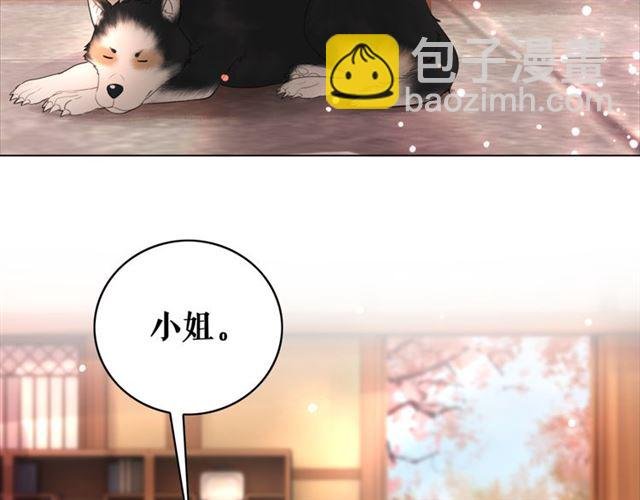 第113话 令人头痛的婚契