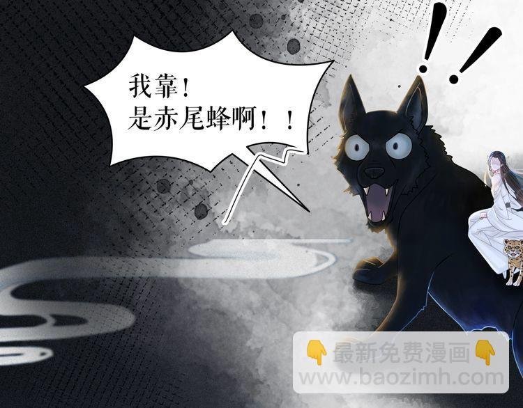 第201话 新的伙伴？