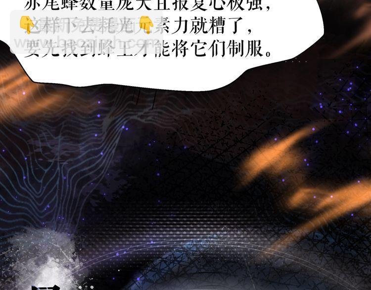 第201话 新的伙伴？