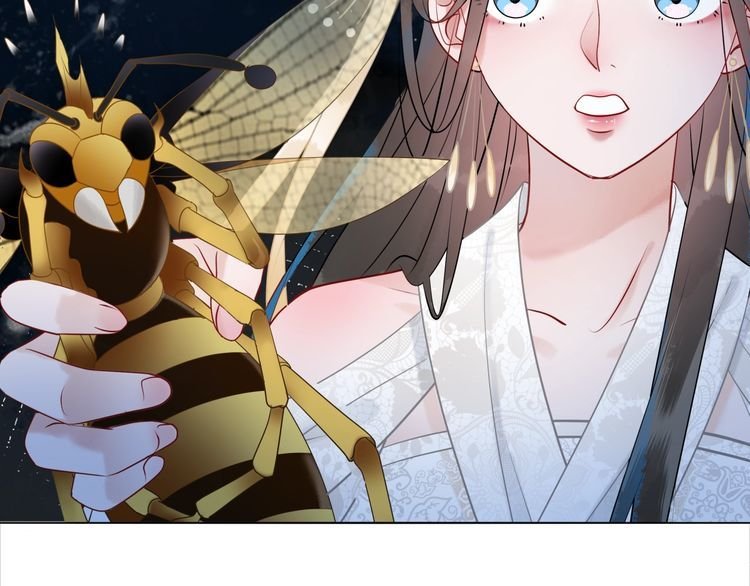 第201话 新的伙伴？