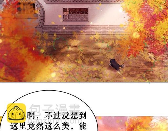 第42话 谁动了九儿？