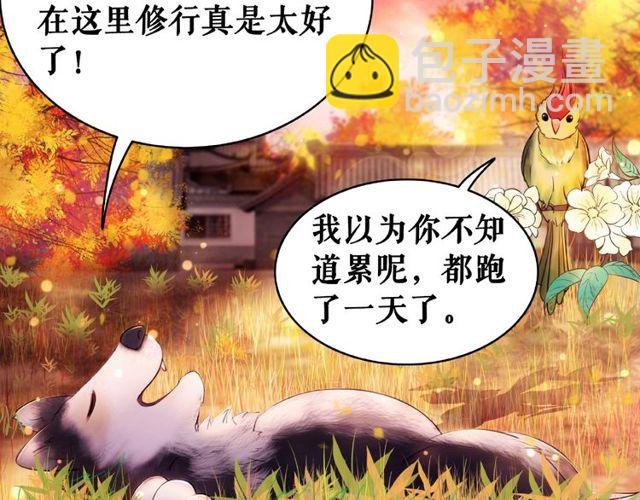 第42话 谁动了九儿？
