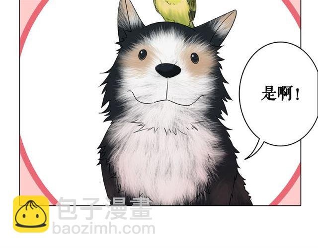 第46话 敢不敢赌？