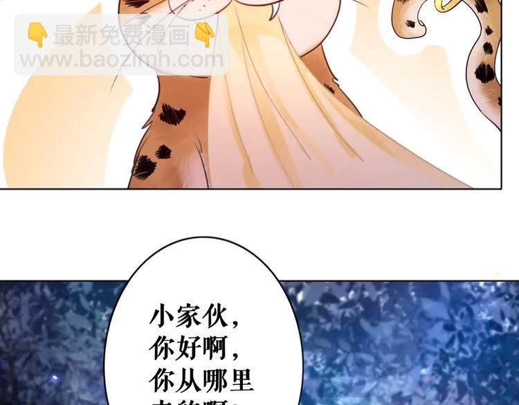 第60话 我要认你为主！