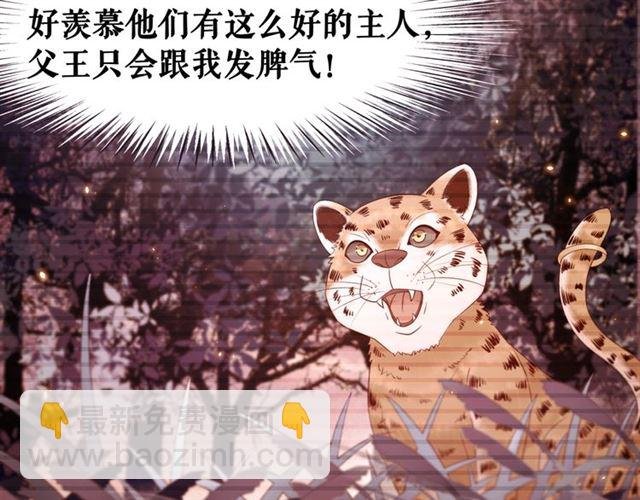 第61话 契约成功，双双晋级！