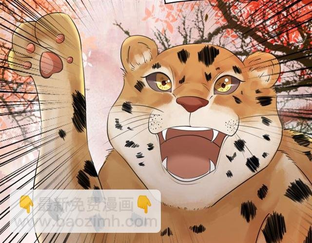 第61话 契约成功，双双晋级！